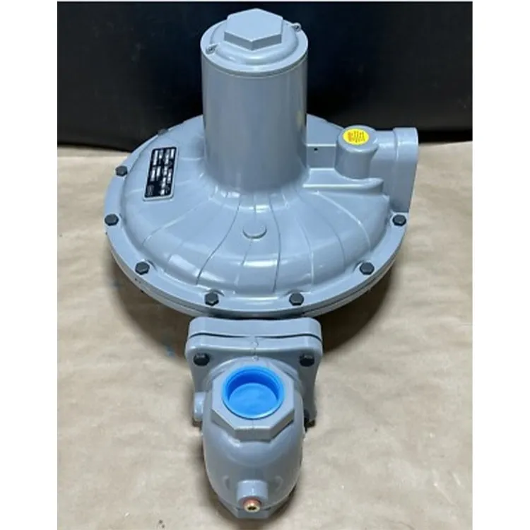 low pressure natural gas regulator